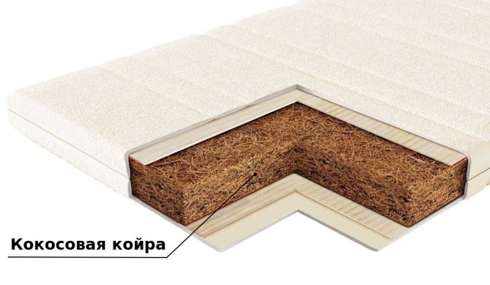 Кокосовая койра